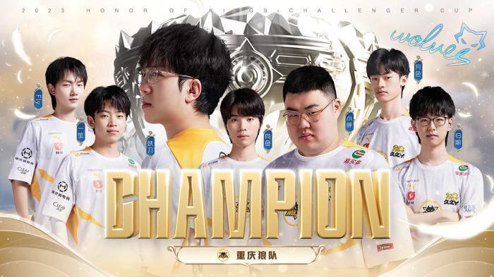 过公开而透